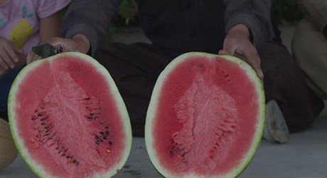 گرتەیەکی ڤیدیۆیی لەبارەی شووتی پێنجوێن کاردانەوەی لێکەوتەوە