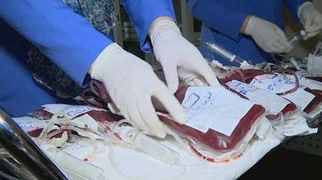 ڤایرۆسی جگەر هەڕەشە لە ژیانی نەخۆشانی تالاسیمیای کوردستان دەکات