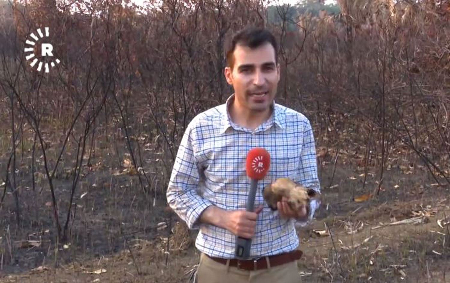 RÛDAW ÖZEL – ‘Amazon ormanlarındaki yangının sebebi hükümetin politikaları’