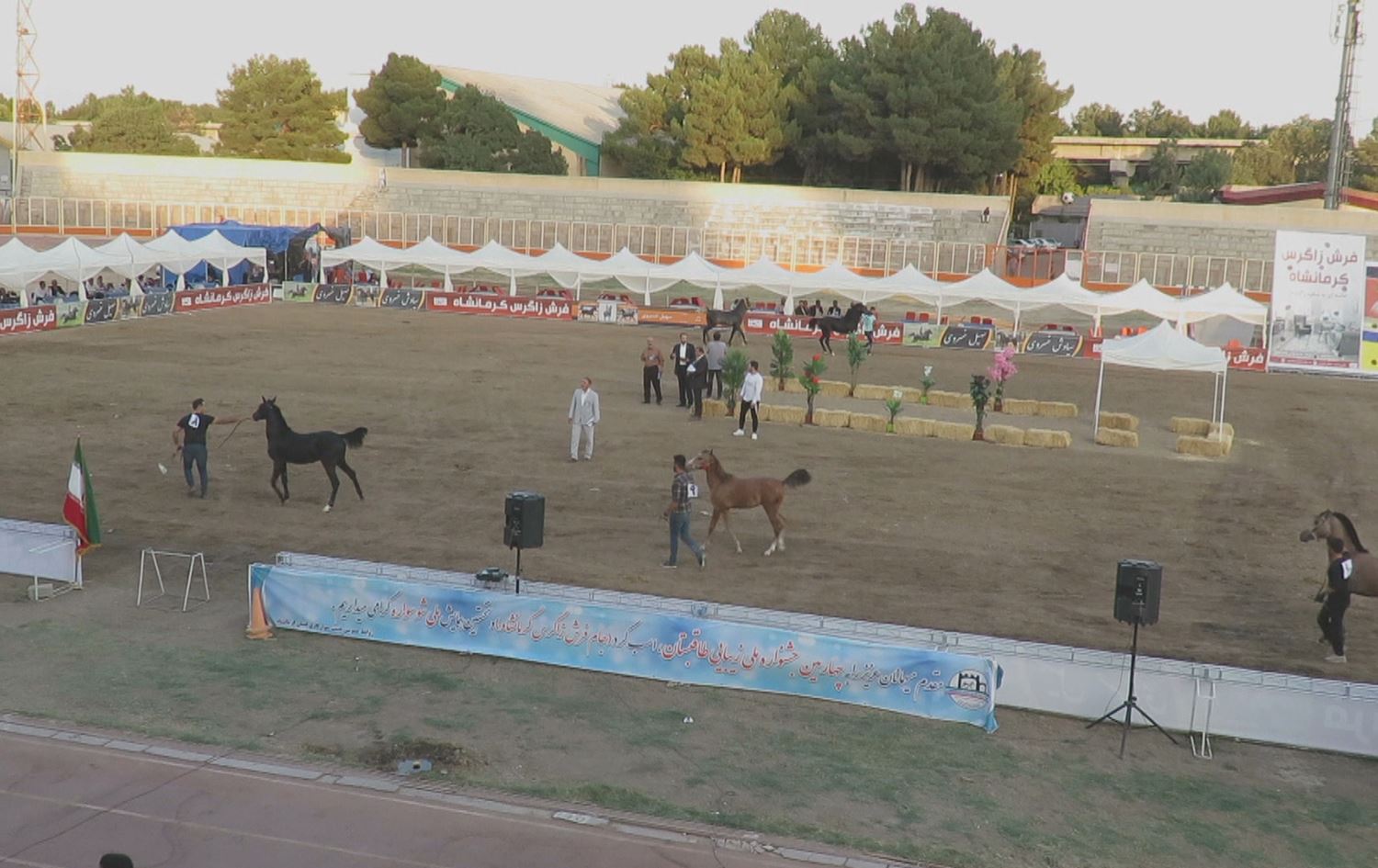 لە کرماشان چوارەمین فێستیڤاڵی جوانترین ئەسپی کوردی بەڕێوەچوو