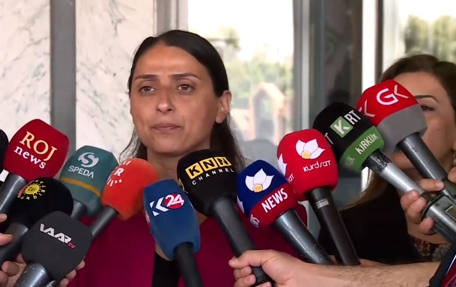 Feleknas Uca: Kurdistan yek e û divê Kurd tifaqa xwe ava bikin