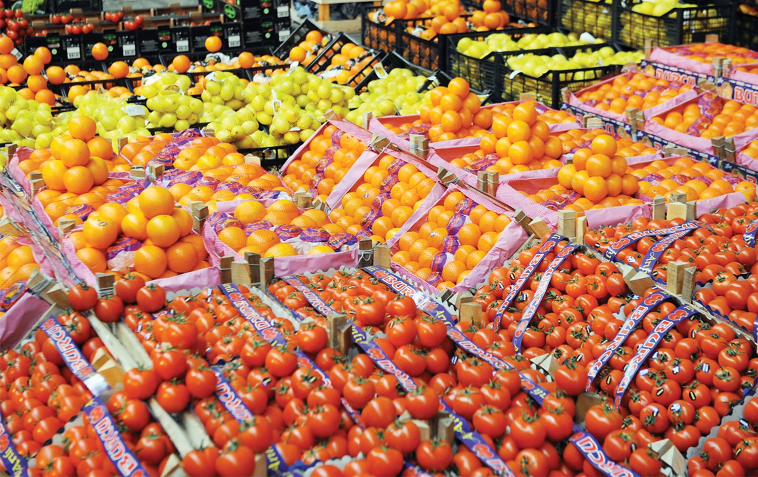 Akdeniz'de yaş meyve ve sebze ihracatı yarım milyar doları buldu