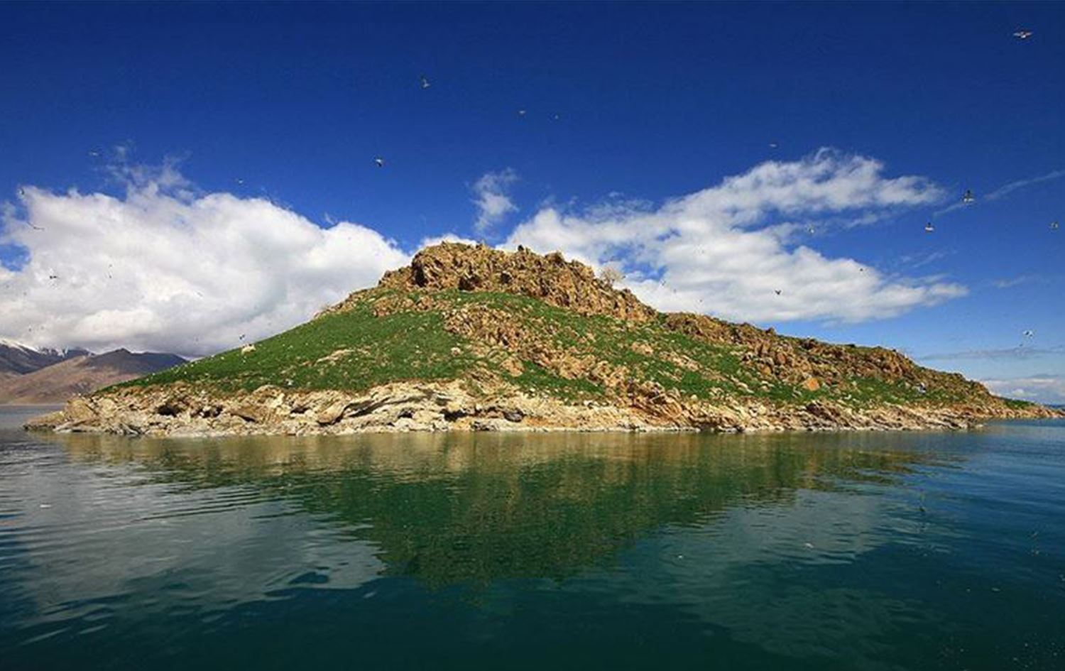 9 bölge 'kesin korunacak hassas alan' ilan edildi