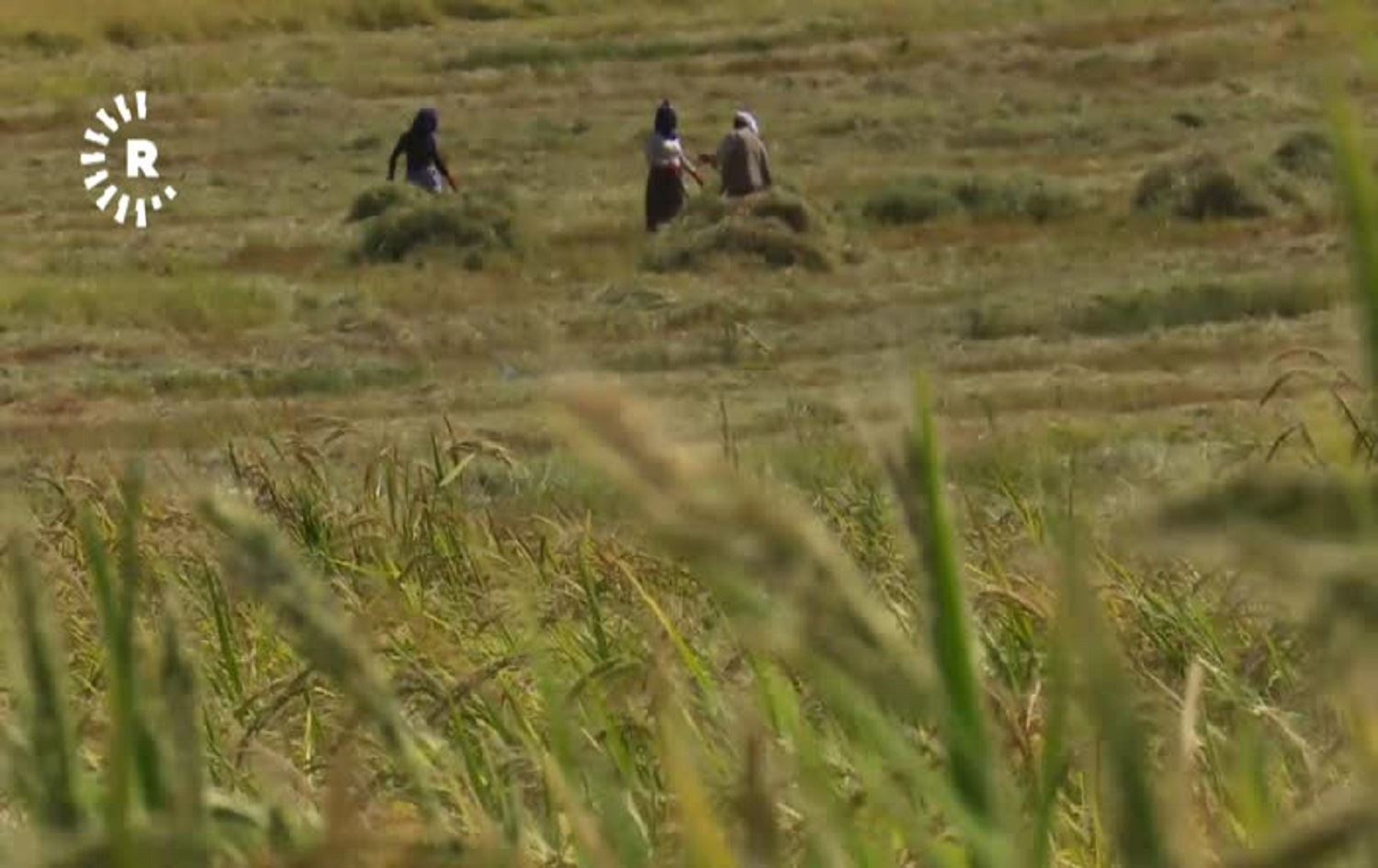 AMED - Çinîna birincê qerejdaxê dest pê kir