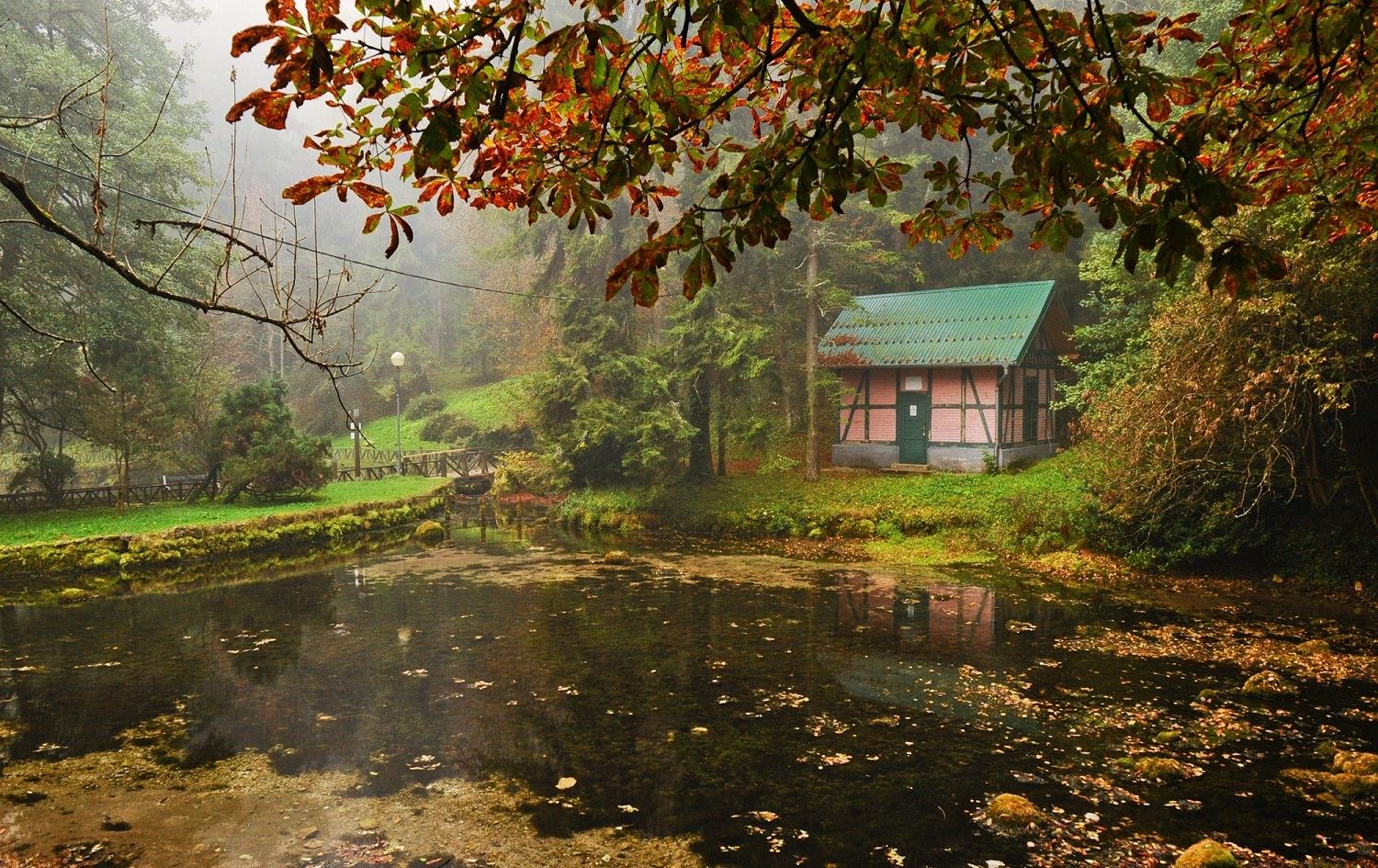 WÊNE- Bi hatina payîzê sirûşta Saraybosnayê bi rengê zer xemilî