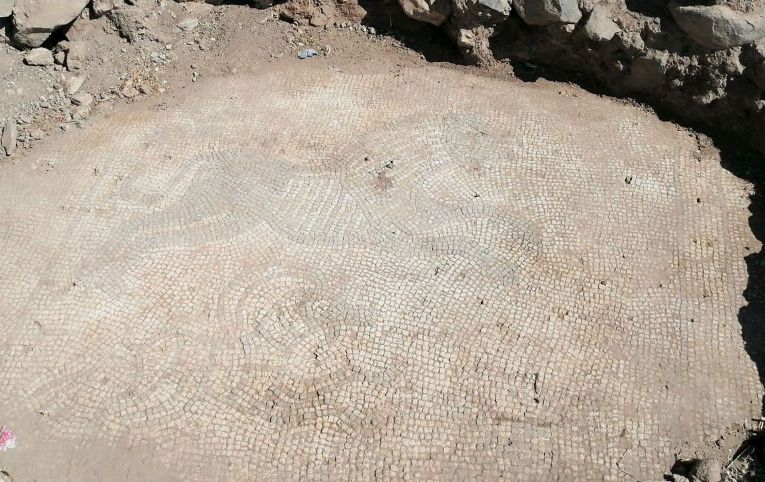 Roma dönemine ait mozaikler ele geçirildi