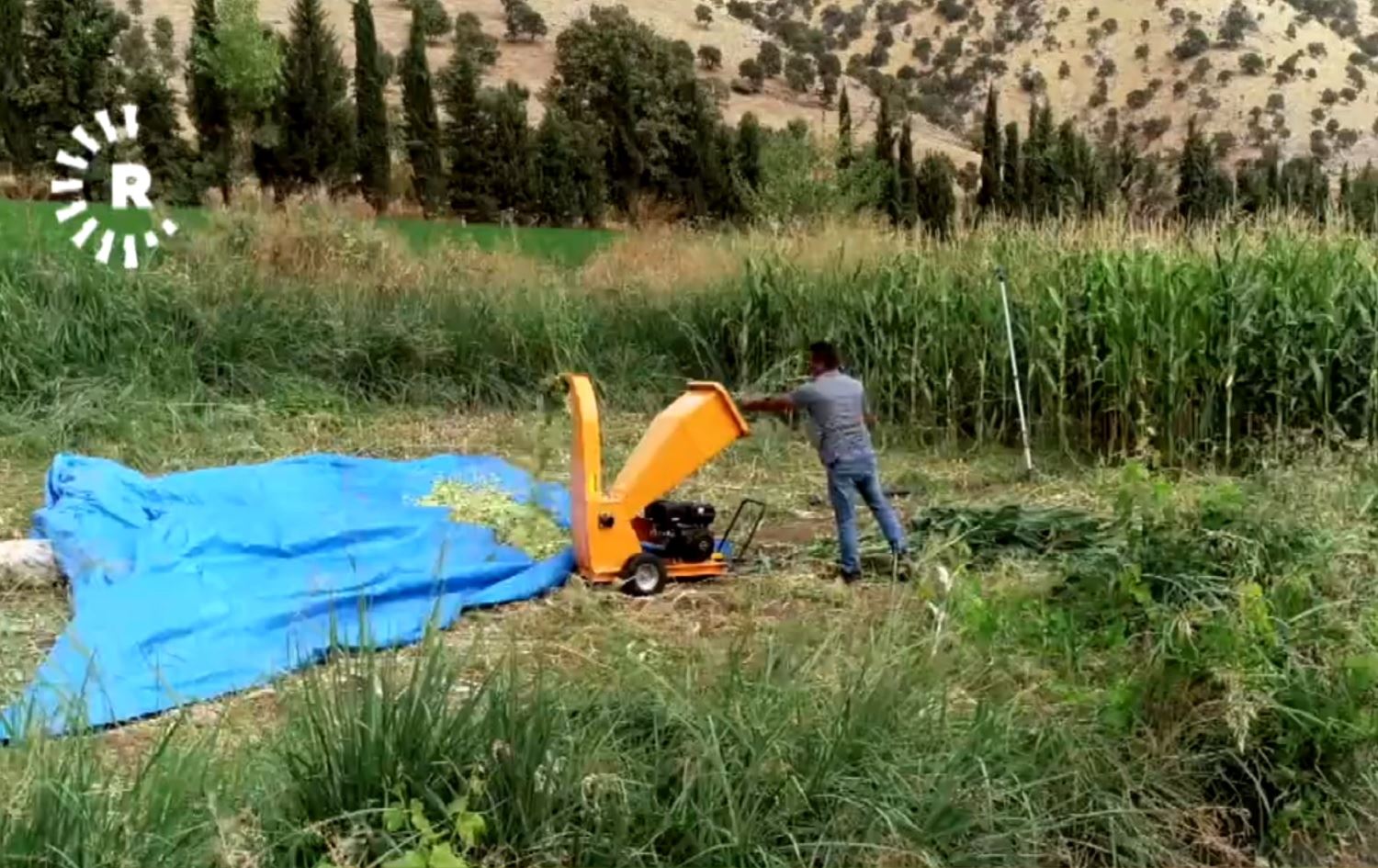 BARZAN – Cotkarekî Kurd di 2 donim zewî de bûye xwediyê 30 ton êmê Garis