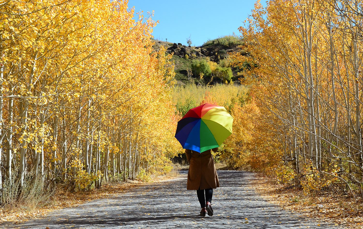 Nemrut Krater Gölü sonbahar renkleriyle büyülüyor