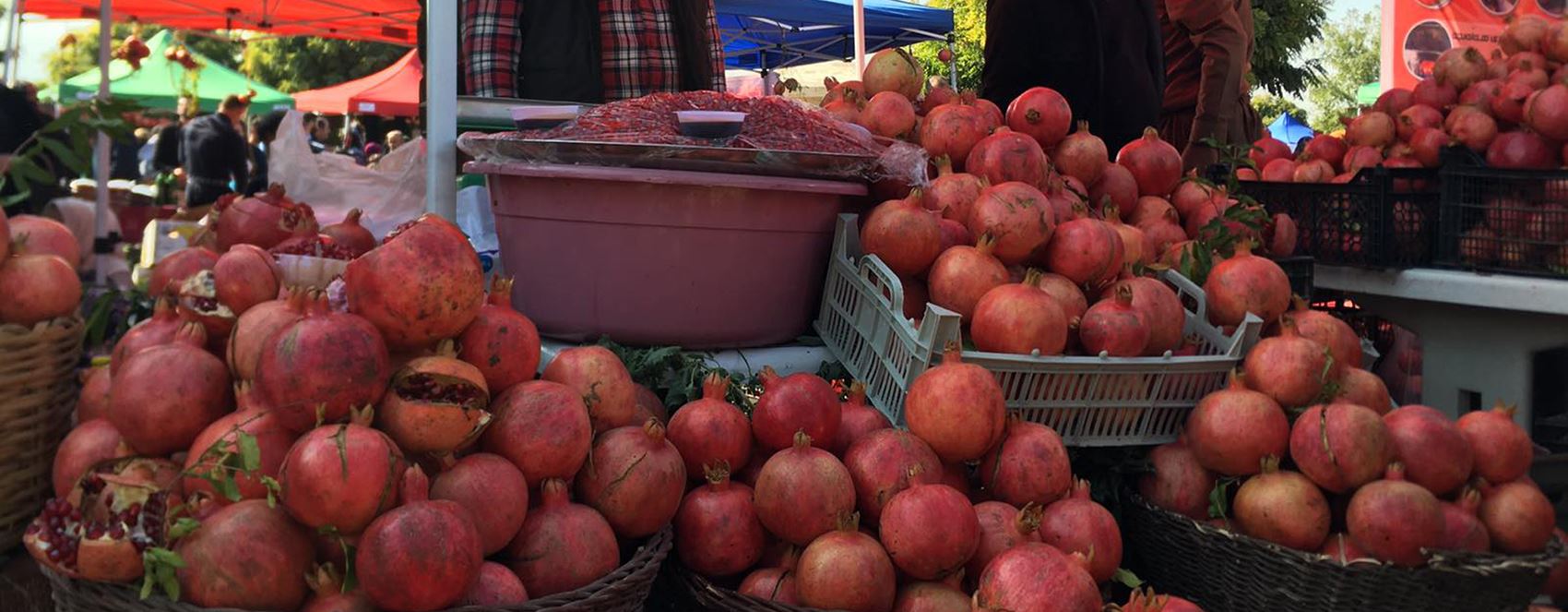 فیستیڤاڵی هەنار لە هەڵەبجە