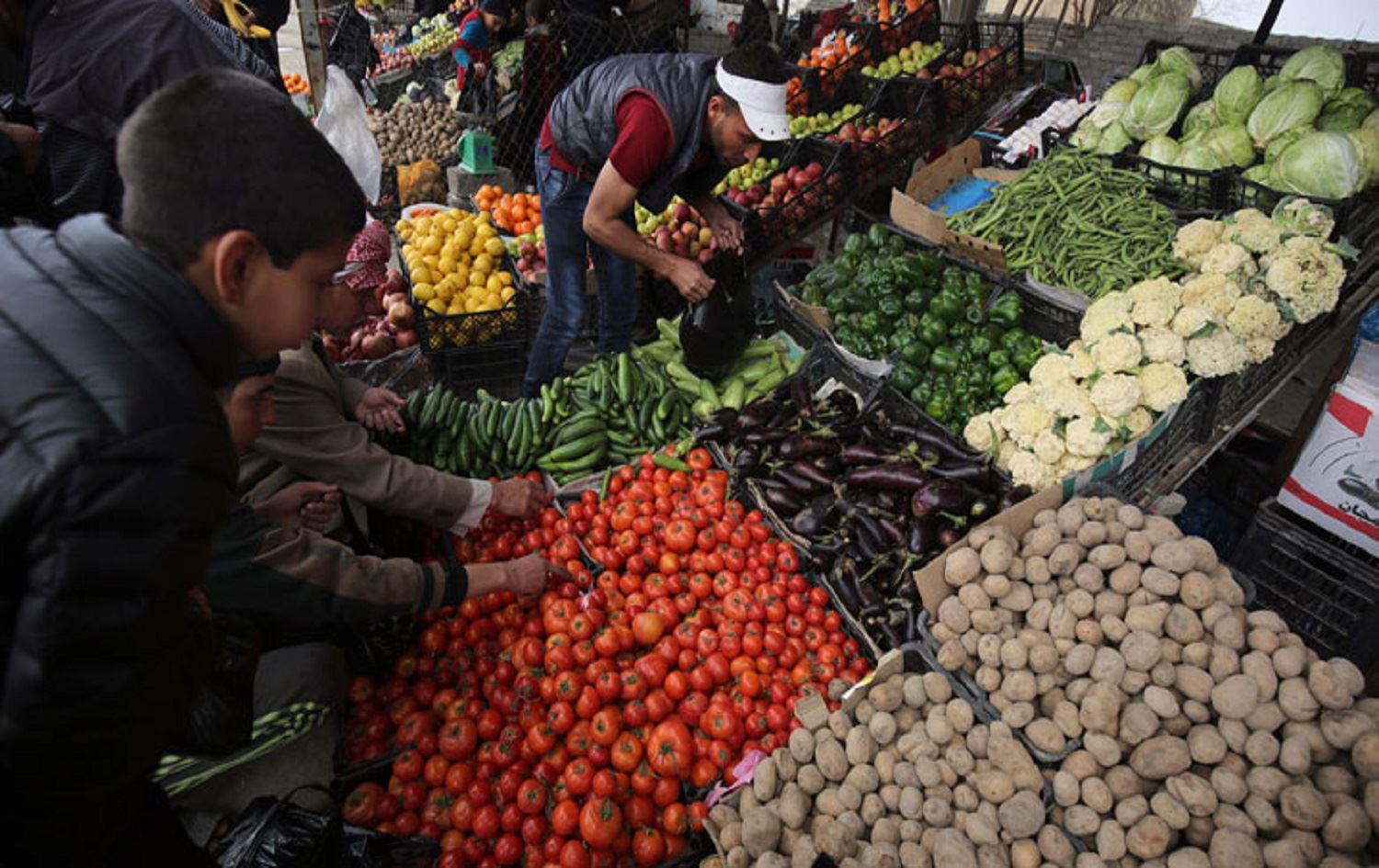 Kurdistan to begin exporting mushrooms, calls for govt ban on imports