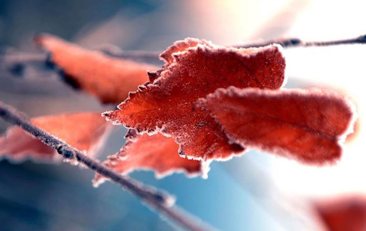Kars ve Ardahan’da sıcaklık eksi 9 dereceyi gördü