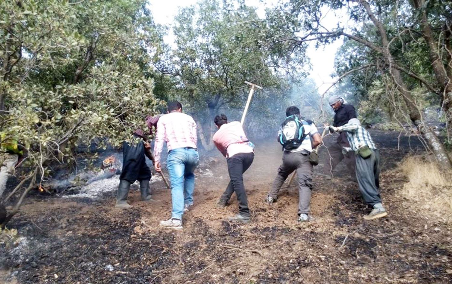 رۆژهەڵاتییەكان دەبنە "پێشمەرگەی سەوز"