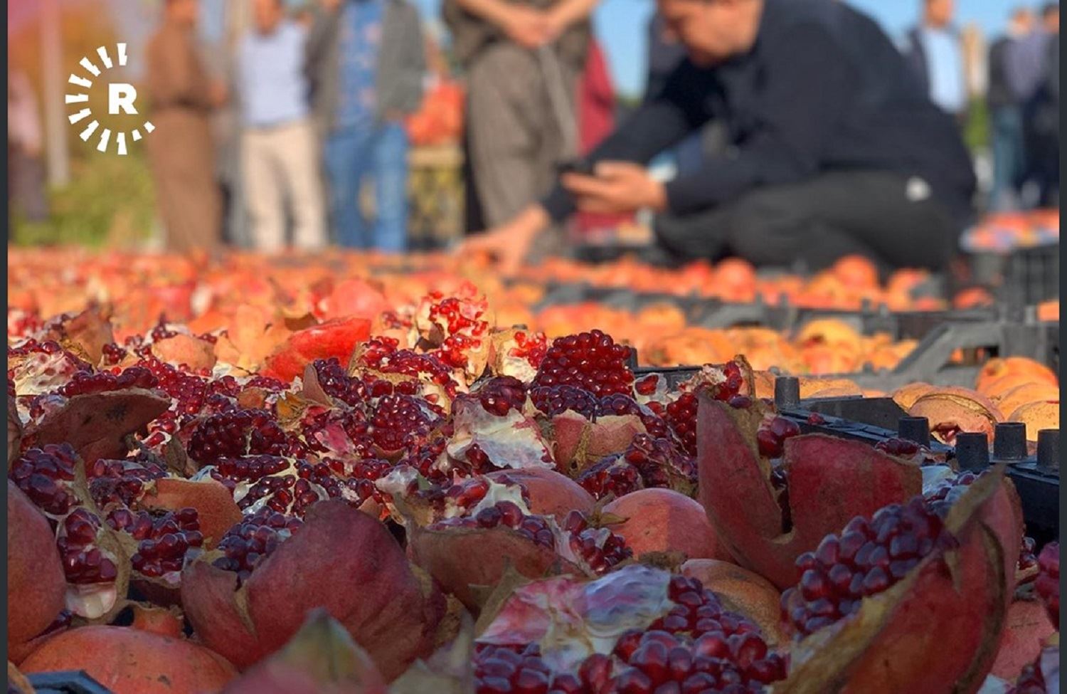 FOTO- Başkentte Kürt çiftçiler ürünlerini görücüye çıkardı