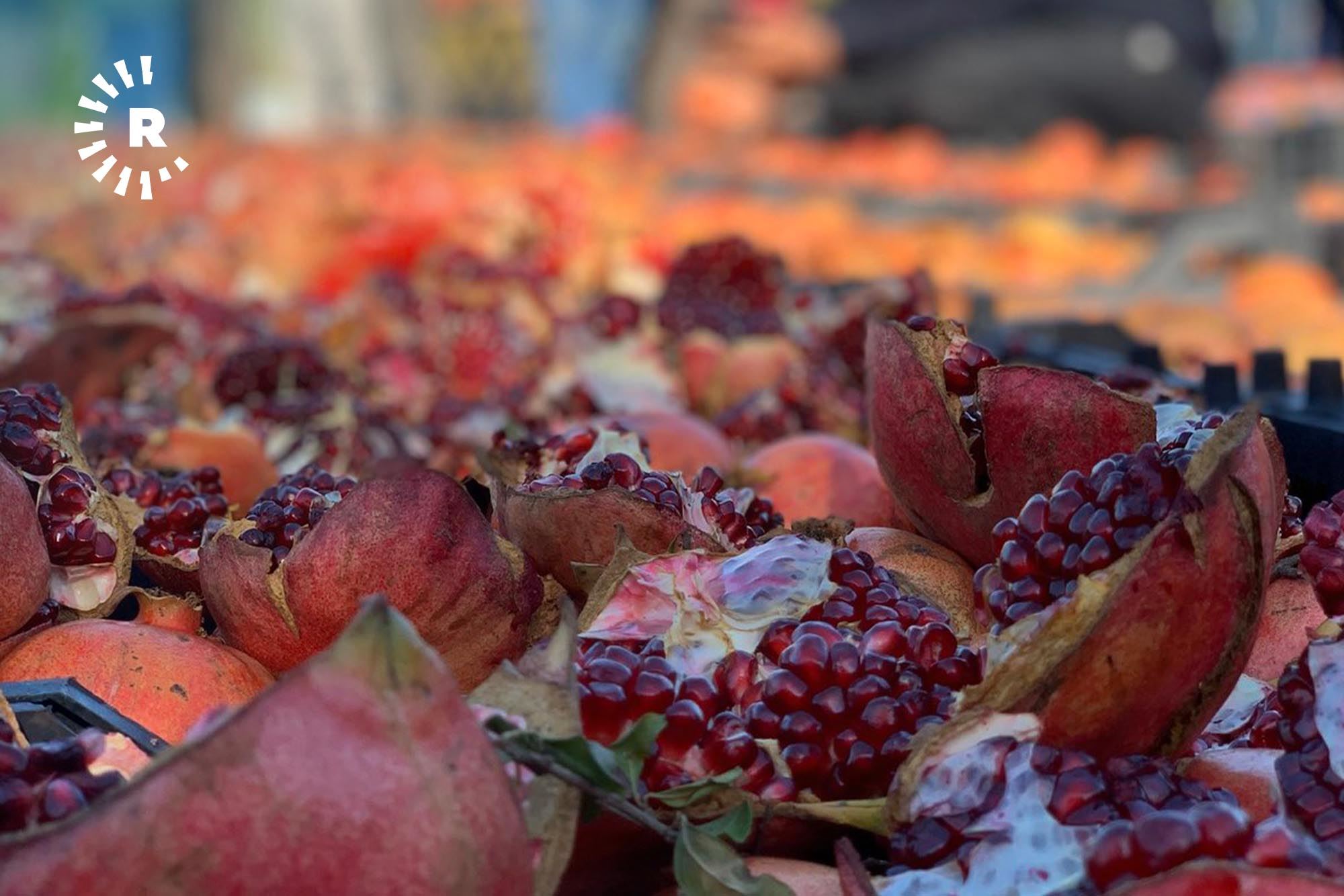 WÊNE – Li Hewlêrê pêşangeha berhemên xwemalî  yên kiştûkalî birêve diçe