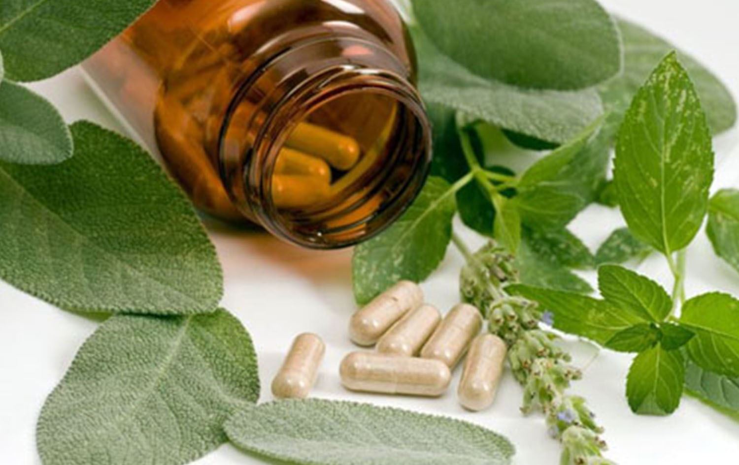 پزیشکانی پورتوگال: گیا دەرمان، چارەسەری شێرپەنجە خراپتردەکات نەک باشتر