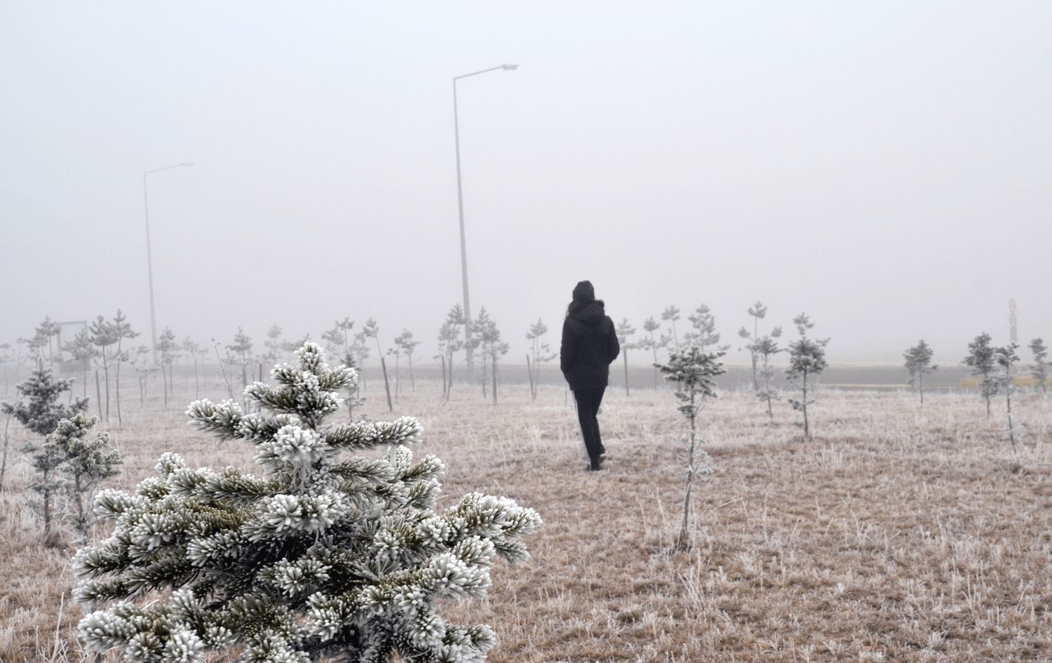 Kürt illerinde hava sıcaklığı sıfırın altında