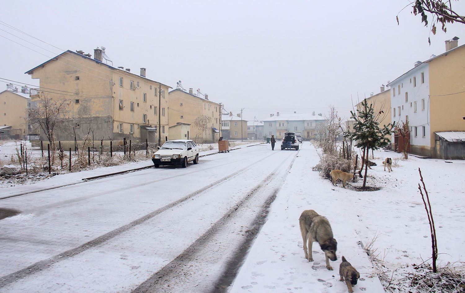 Dersim beyaza büründü