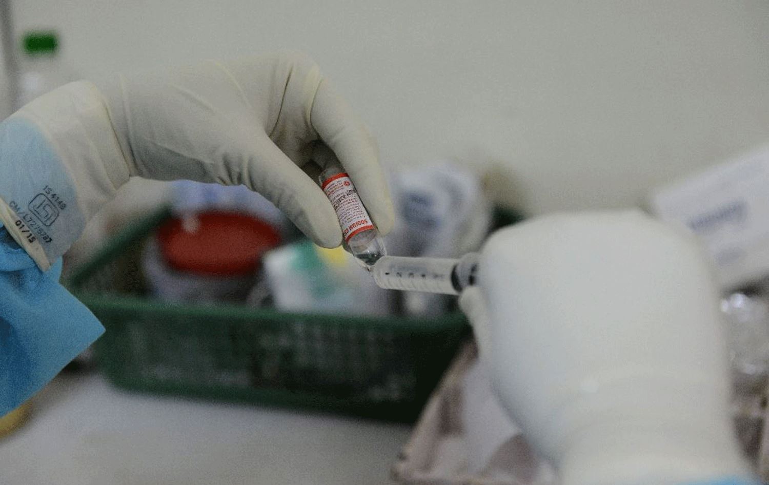 Kürt kentlerinde domuz gribi alarmı: Bir haftada 10 kişi öldü!