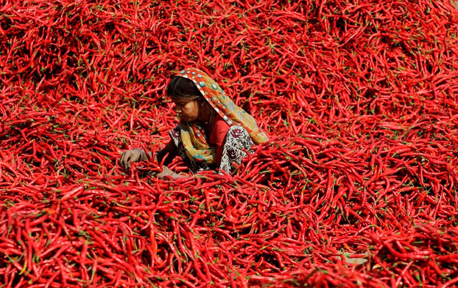 Acı kırmızı biber tüketmek kalp krizi ve inme riskini azaltabilir