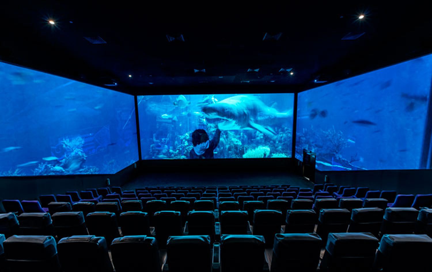 دیالۆگ لە فیلمدا