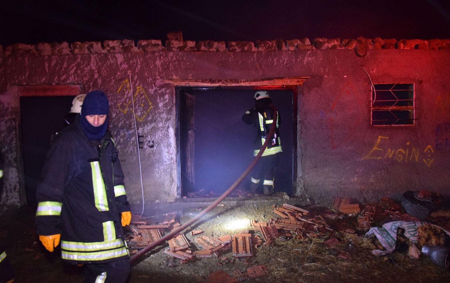 Ahır yangınında 240 hayvan telef oldu