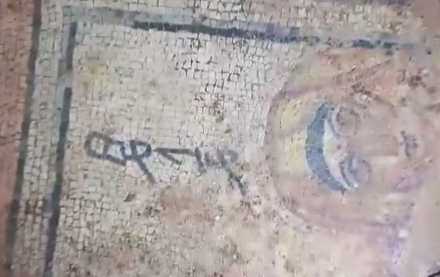 Urfa'da kazıda 4. yüzyıla ait mozaik ortaya çıktı