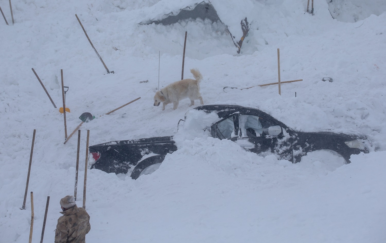 Xebatên lêgerînê berdewam in