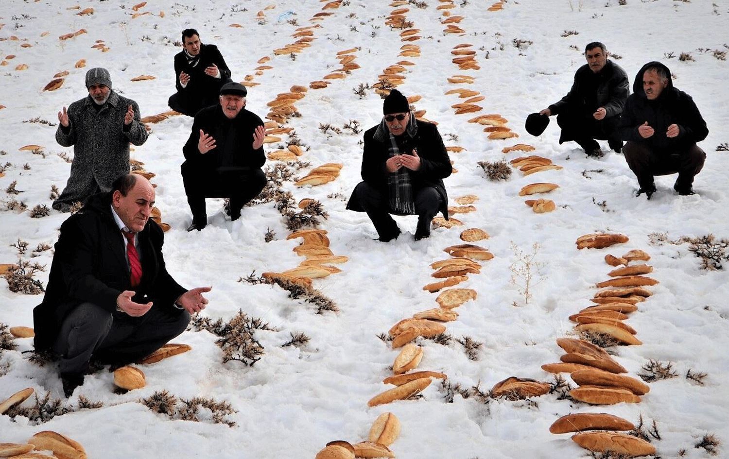 بۆ رێگری لە رووداوە سرووشتییەکان لە زنجیرە چیاکانی ئەرزڕووم هەزاران سەموون دادەنرێن