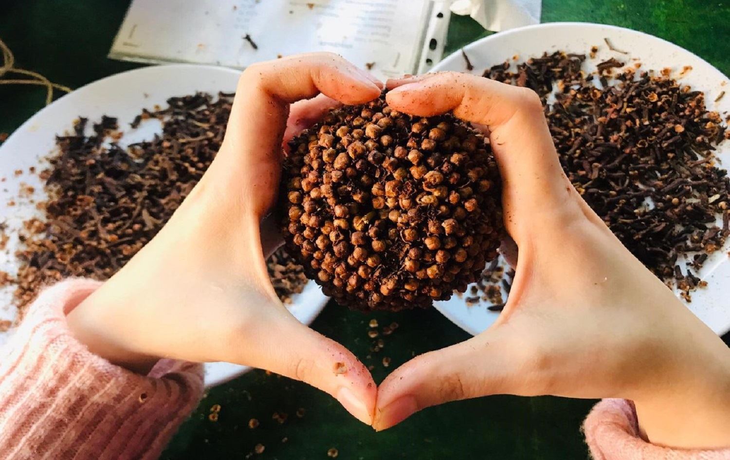 Chalak Events çalakiya ‘Sêva Mêxekrêj’ saz dike