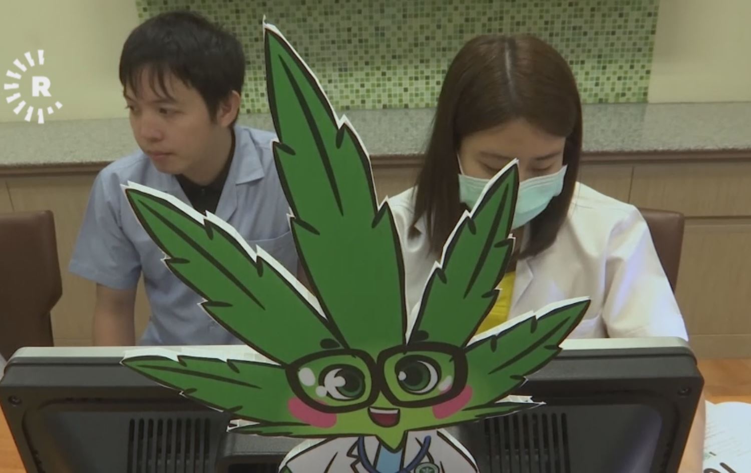 لە تایلەند یەکەم کڵینیکی پزیشكی بۆ بەکارهێنانی رۆنی مەریوانە کرایەوە