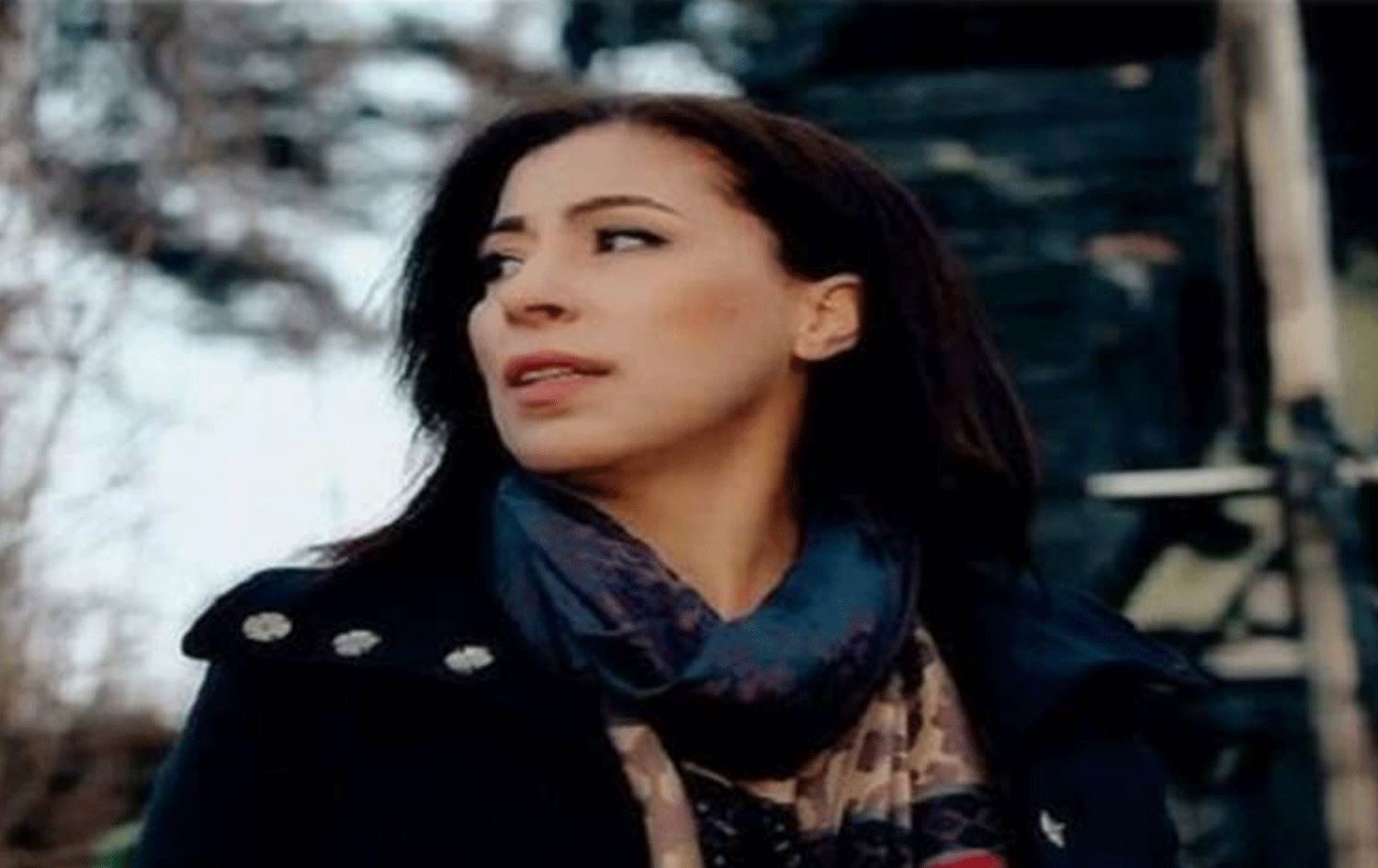 Kürt sanatçı Berivan Alp, İsveç’te yaşamını yitirdi