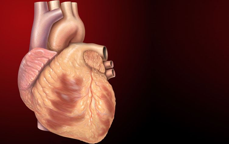 جەڵتە دڵی هاونیشتمانییەک لەلێداندەخات و لە نەخۆشخانە بە کارەبا "DC" ژیانی رزگاردەکرێت