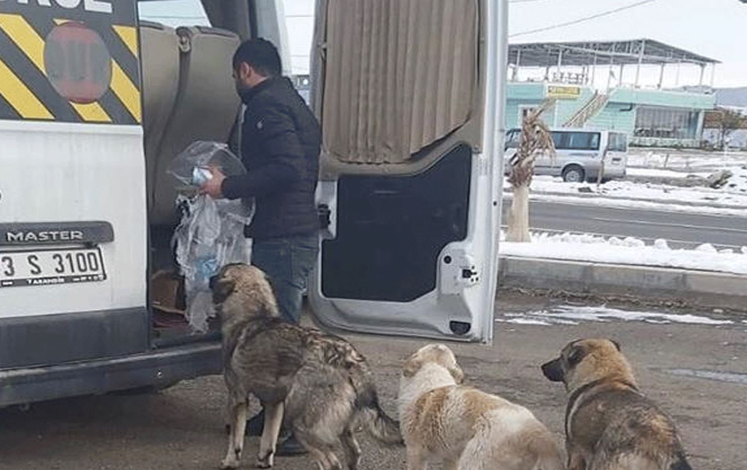 Cizreli şoför kısıtlı imkanlarıyla sokak hayvanlarına bakıyor