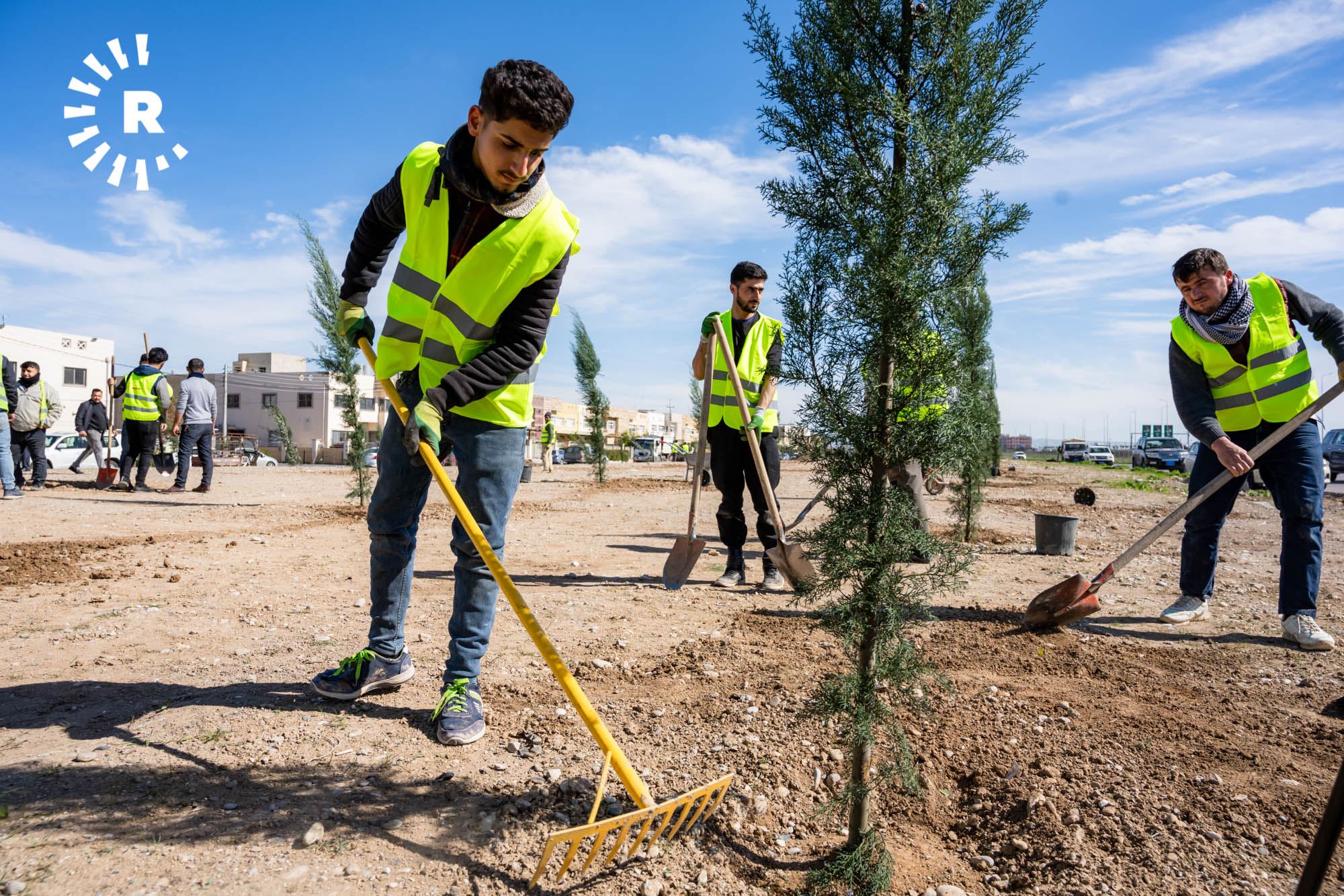 WÊNE – Bi piştevaniya Serokwezîr 100 hezar şitlên dara li Hewlêrê têne çandin