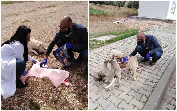 Li Kurdistanê segên birçî goştê hev xwarin