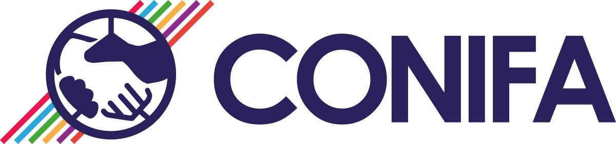 پاڵەوانێتی کۆنیفا بۆ هەرێمەکان دواخرا