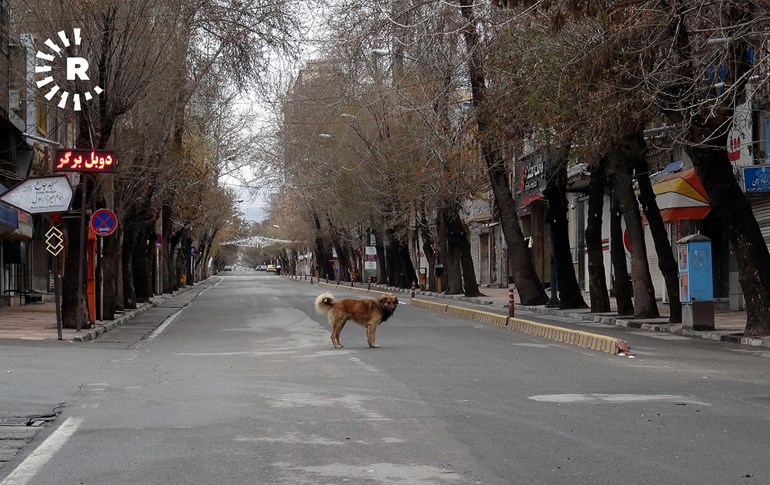 Dog crosses the empty streets of Mahabad, Iran. Photo: Xalid Mamghaderi/ Rudaw
