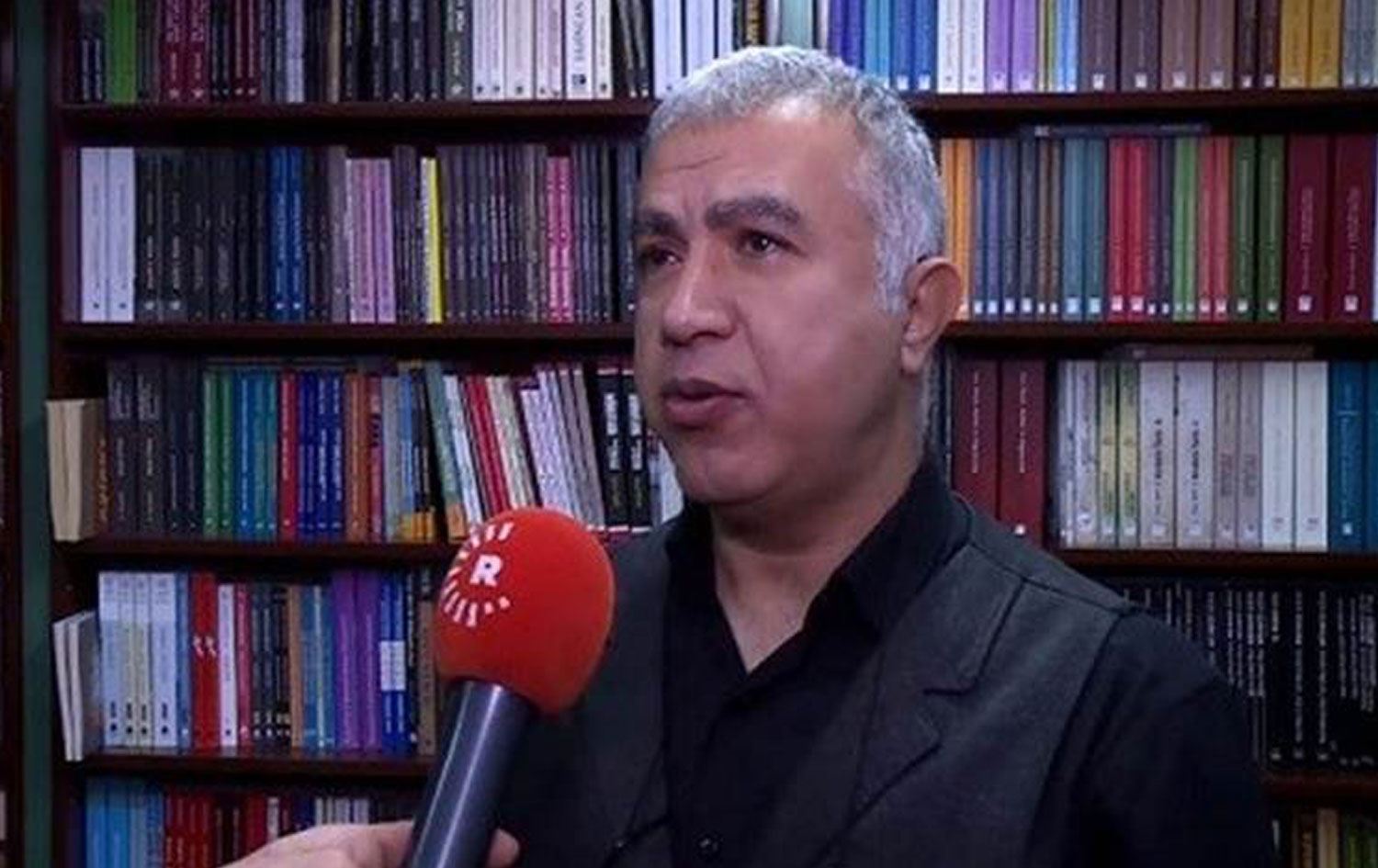 Kayyum Kürt dilbilimci Zana Farqini'yi işten çıkardı