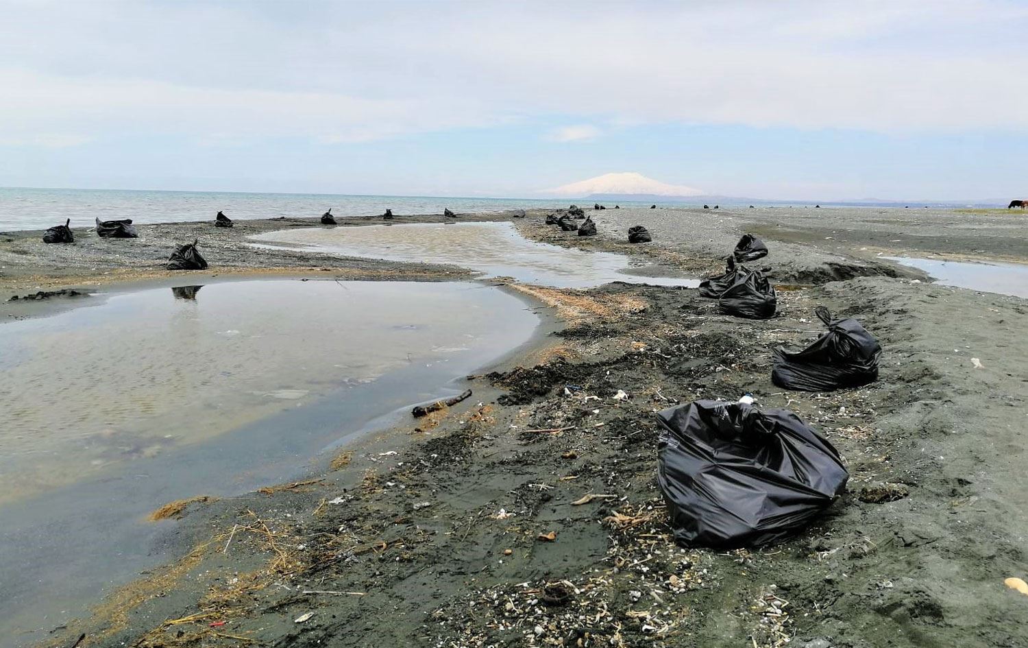 Van Gölü sahillerinde 100 ton atık çöp toplandı