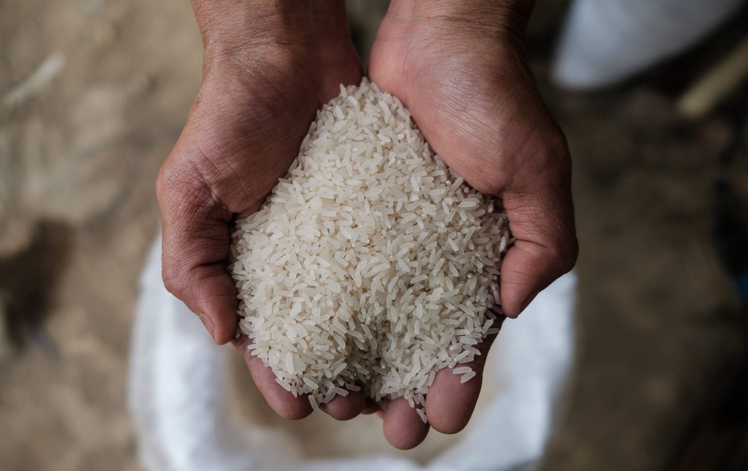 لە رەمەزاندا برنجی عەنبەر دابەشدەکرێت