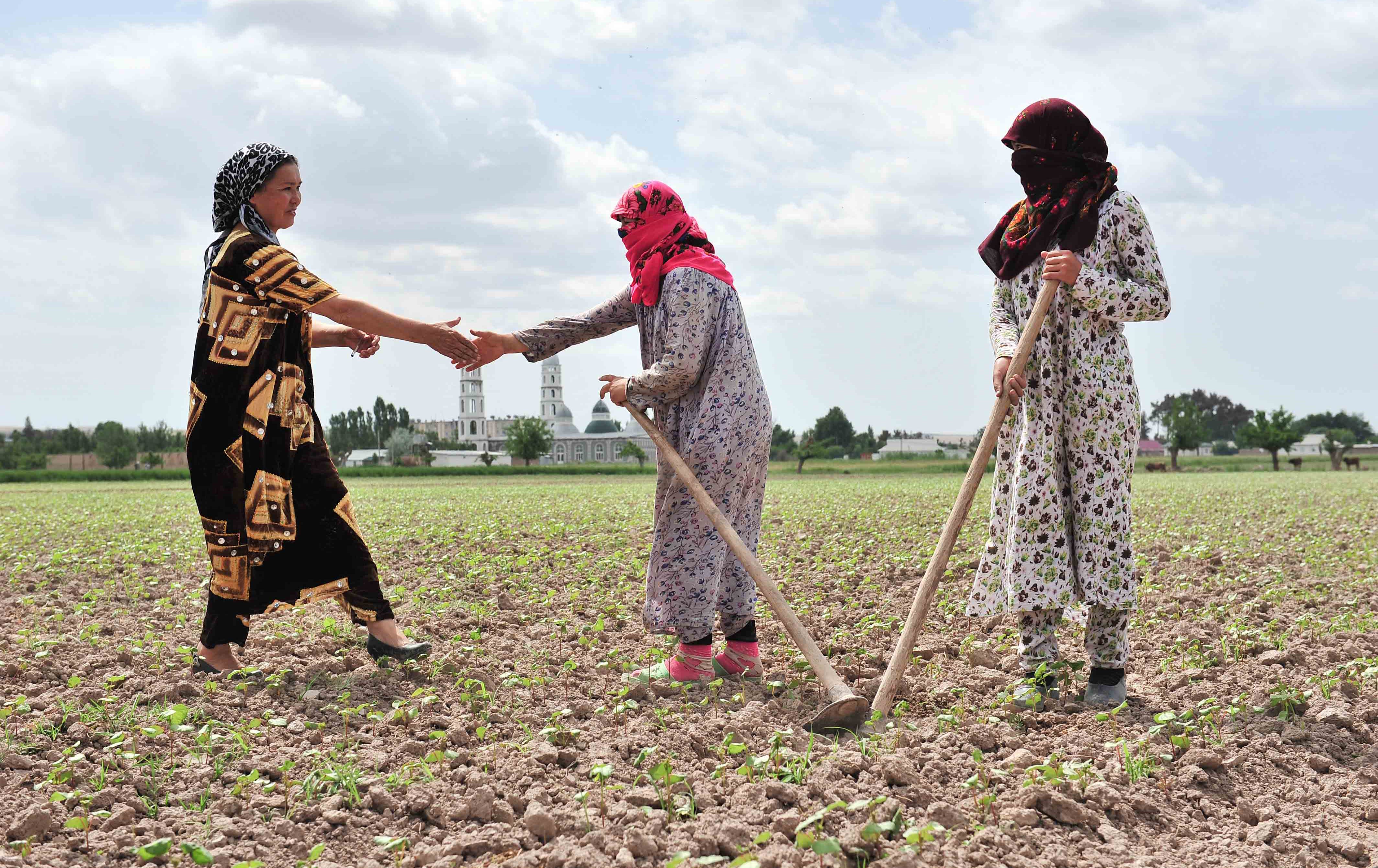 سەرۆکی تاجیکستان داوا لە جووتیاران دەکات بە رۆژوو نەبن