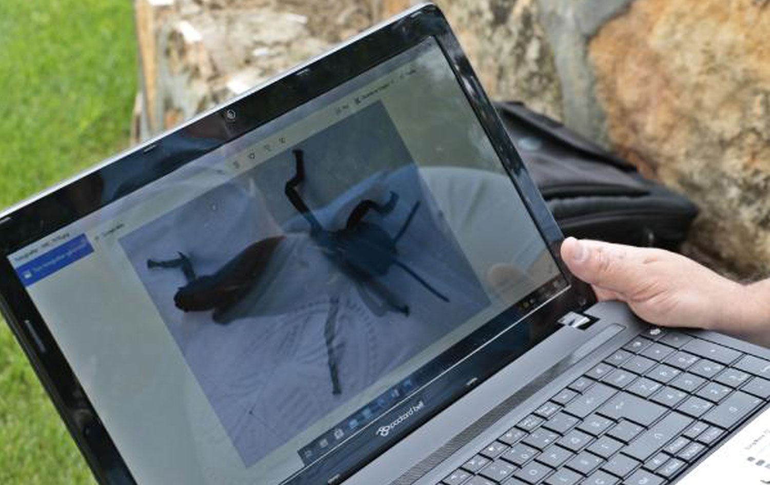 ‘Çekirgeleri Güneydoğu'dan gelen işçiler getirdi’ iddiası tartışma yarattı