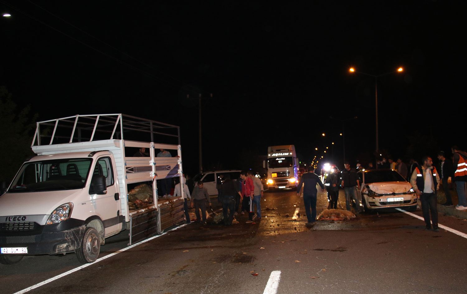 Elazığ’da yarış yapan 2 otomobil 30 koyunu telef etti