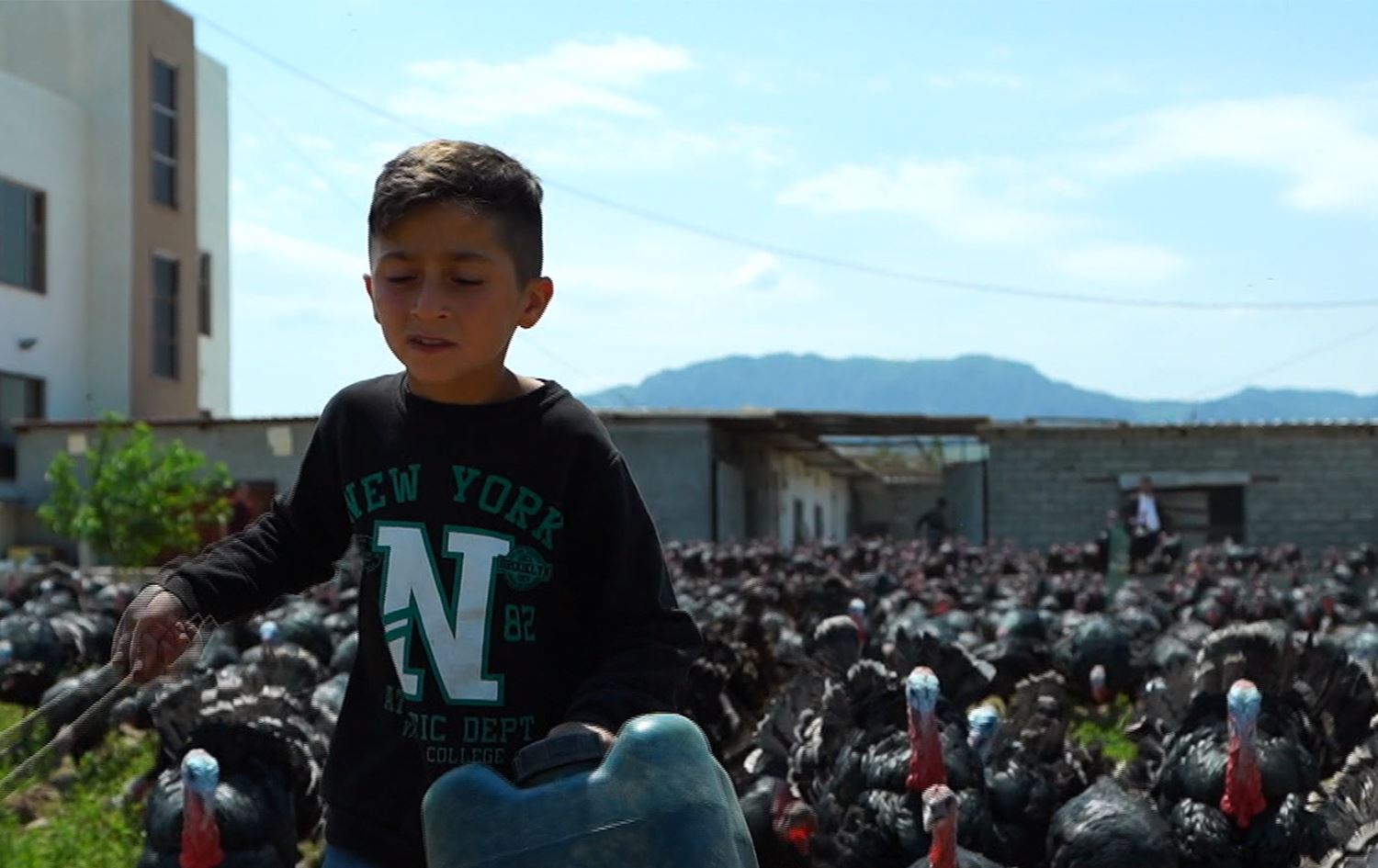 لە زاخۆ گەنجێک زیاتر لە 2500 قەل، قاز و مریشک بەخێودەکات