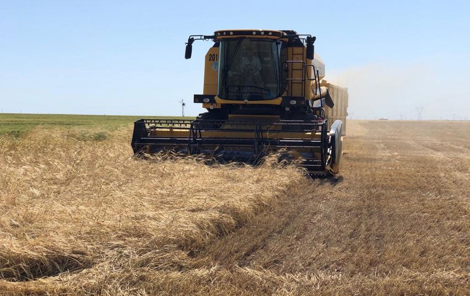 Mardin’de sezonun ilk arpa hasadı yapıldı