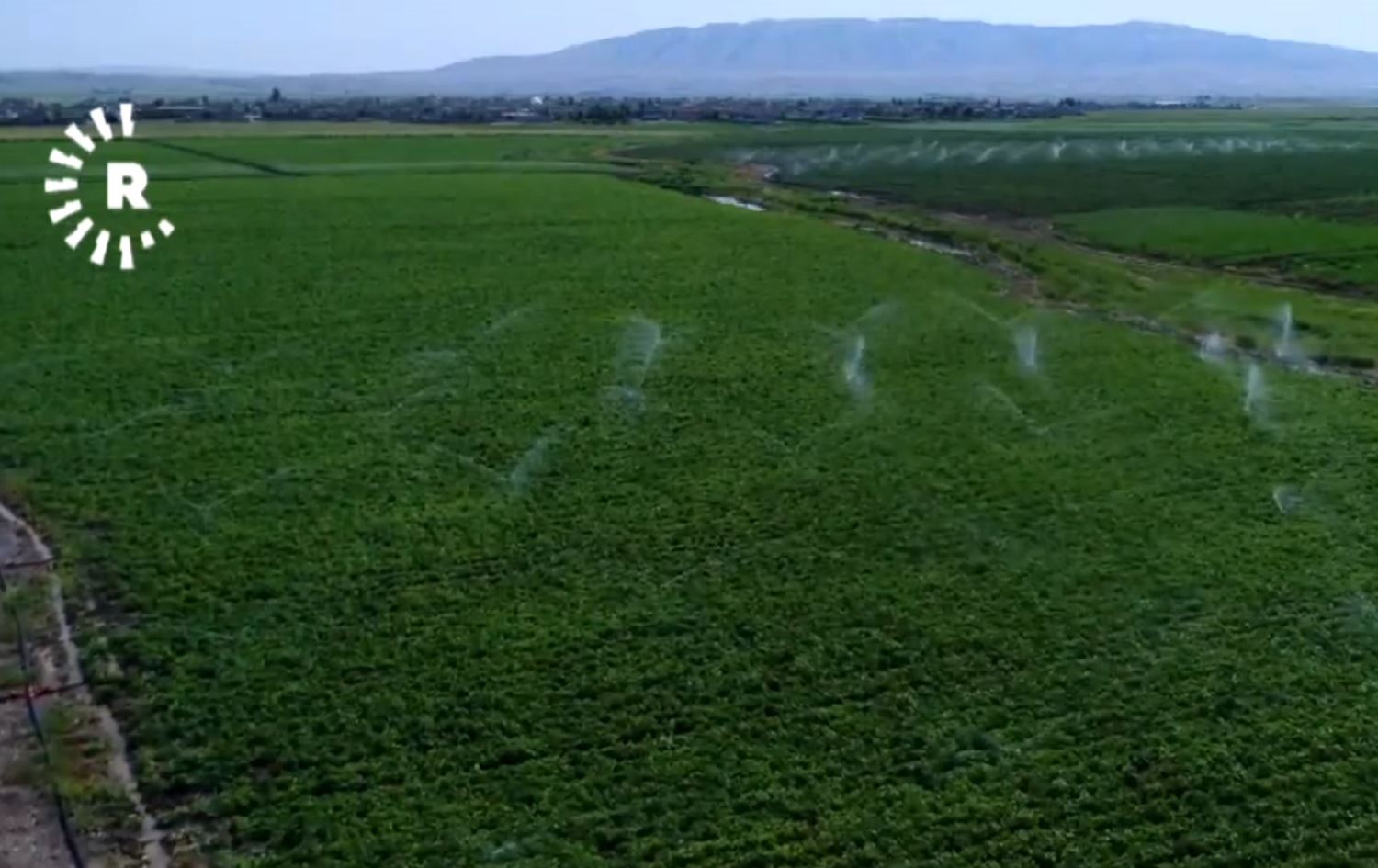 Li Şêxan berhemanîna petata %100 zêde bûye