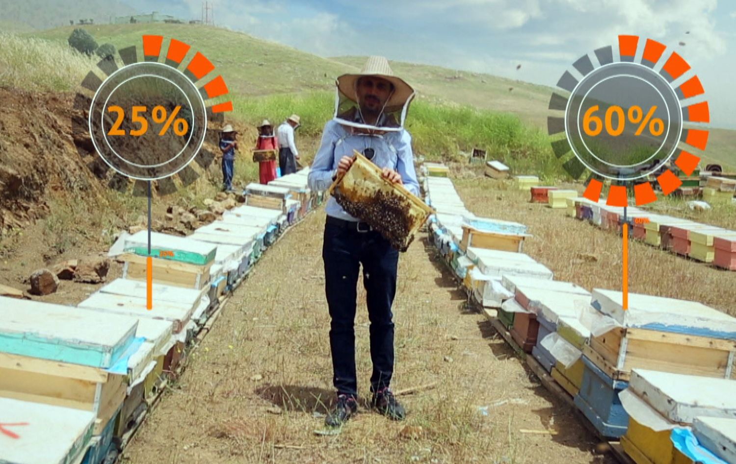 ساڵانە 500 تۆن هەنگوین لە کوردستان بەرهەمدەهێندرێت