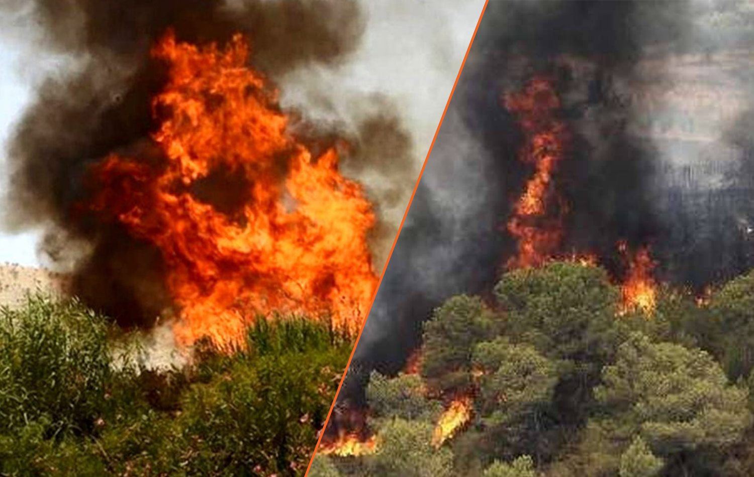 لە ئێران دوای پێنج رۆژ ئاگری دارستانەکانی زاگرۆس خامۆش کرا