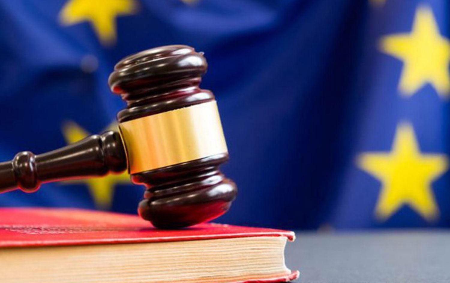 AİHM: Ana dilde eğitim için gösteri suç değil