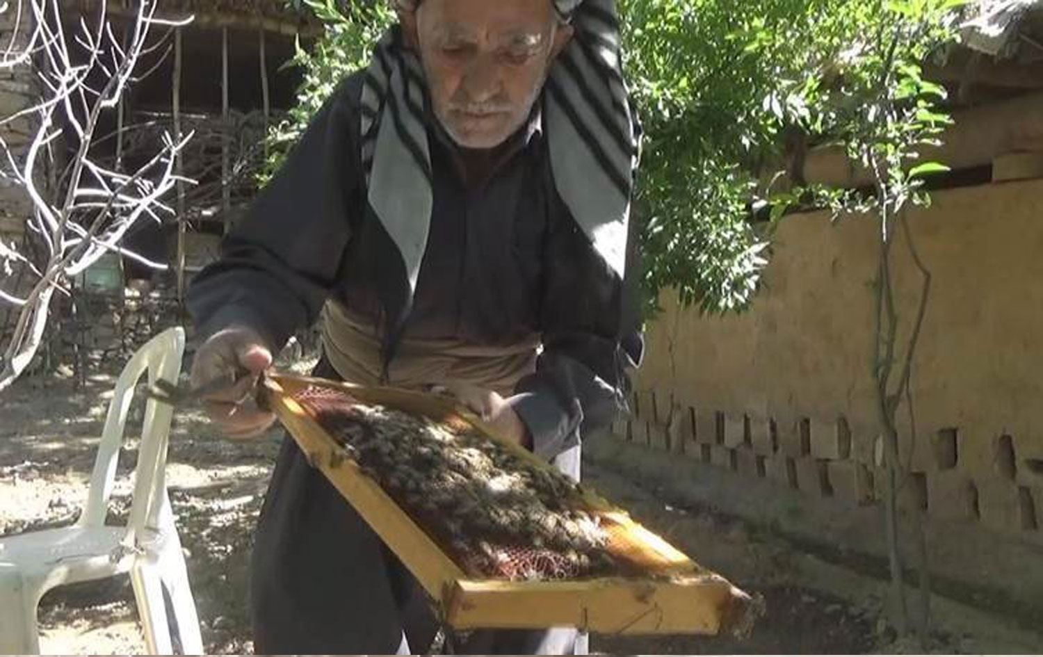 118 yaşındaki Mam Ahmed tam 100 yıldır arıcılık yapıyor